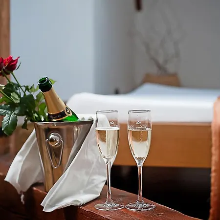 Kolštejn Wellness Centrum Hotel
